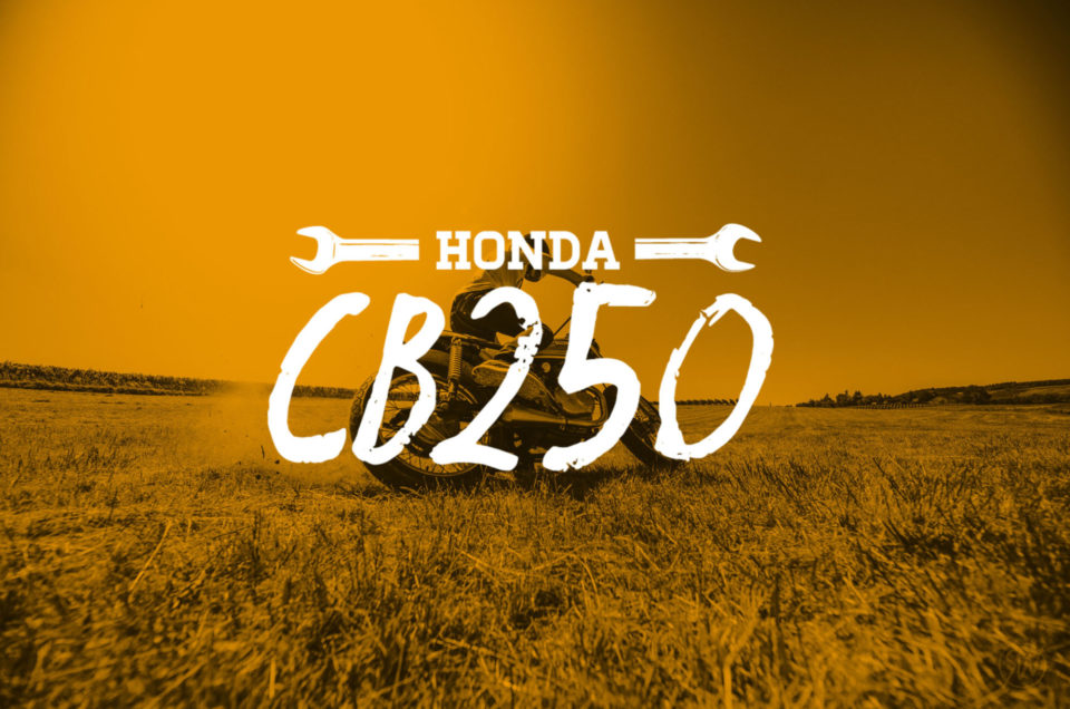Honda CB250 - Action